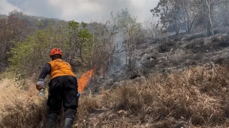 Kawasan Hutan Pemuteran Terbakar, Tim Gabungan Masih Berjibaku Padamkan Titik Api