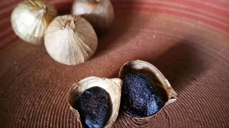 Cara Mengonsumsi Black Garlic Tunggal yang Aman dan Tepat
