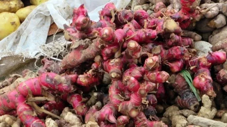 Mengenal Manfaat Rempah Jahe Merah untuk Menjaga Imunitas Tubuh