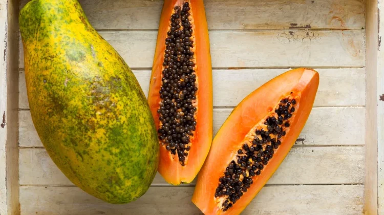 Mengenal Manfaat Buah Pepaya Lokal untuk Kelancaran Sistem Pencernaan