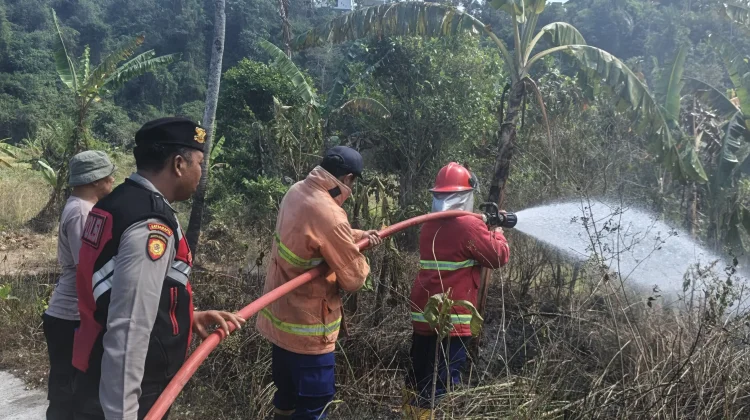 Damkar Padamkan Kebakaran Lahan Seluas 50 Are di Pekutatan