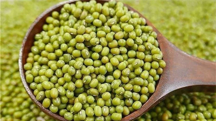 Mengenal Manfaat Kacang Hijau sebagai Sumber Nutrisi Nabati Pilihan