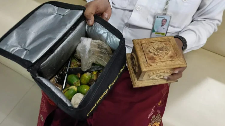 Tradisi Penginangan dan Kewajiban Balian Desa Adat Pedawa