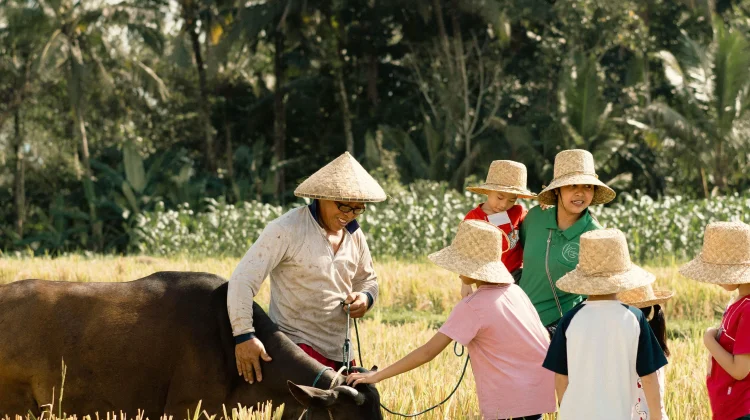 Bertani di Sawah Bantu Bentuk Karakter Anak