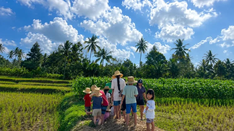 Edutani Krisan Eco Farm Ajak Anak Betah Belajar Bertani