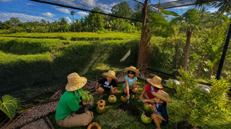 Edutani Krisan Eco Farm Ajak Anak Betah Belajar Bertani