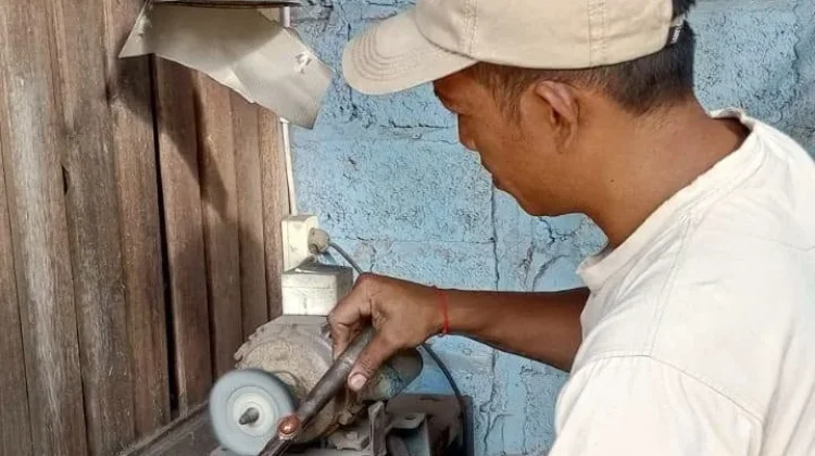 Batu Pulaki Raih Sertifikat IG, DJKI Sebut Tak Dimiliki Negara Lain