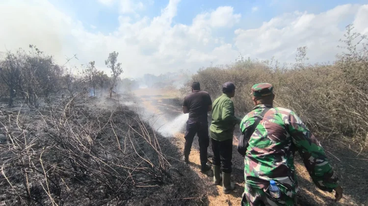 Kebakaran Hanguskan 1,5 Hektare Lahan Kering di Pekutatan