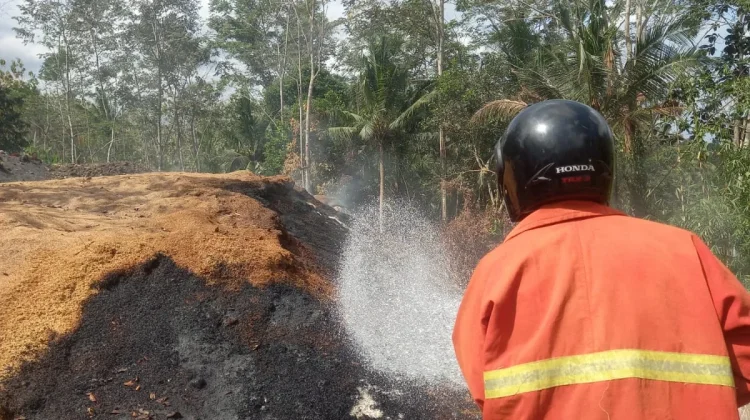 Kebakaran Lahan di Batu Agung, Damkar Kerahkan 11.500 Liter Air