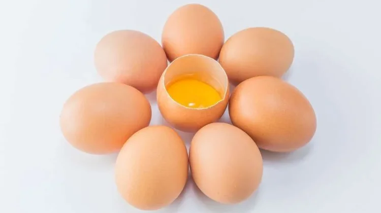 Telur Omega-3, Bukan Sekadar Telur Biasa: Nutrisi Diperkaya dari Pakan