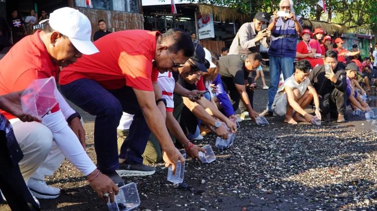 100 Tukik Dilepas di Pantai Camplung, Buleleng Perkuat Pelestarian Penyu