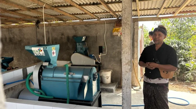 Perkuat Potensi Kopi Arabika Desa Gobleg, PLN Hadirkan Dukungan bagi Petani