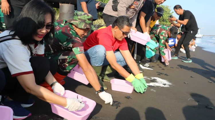 Wabup Supriatna Lepas 200 Tukik, Ajak Warga Jaga Pesisir Buleleng