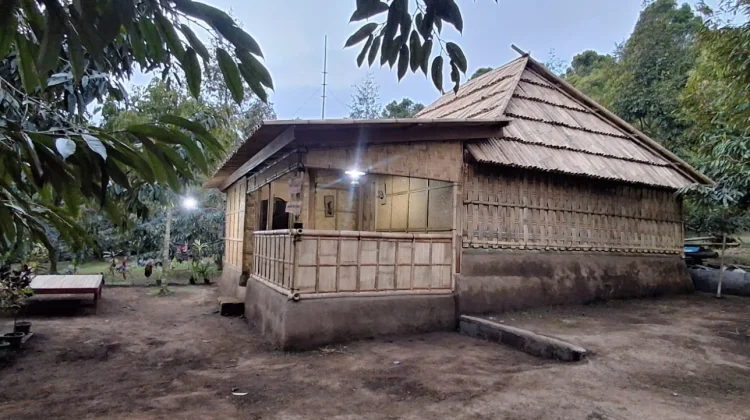 Rumah Adat Mesegali yang Punah Kembali Hadir di Desa Pedawa