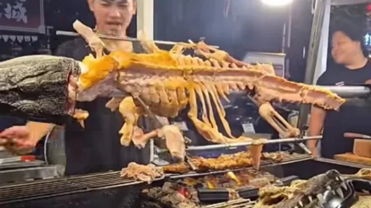 Daging Buaya Jadi Kuliner Ekstrem yang Diburu Wisatawan di Filipina