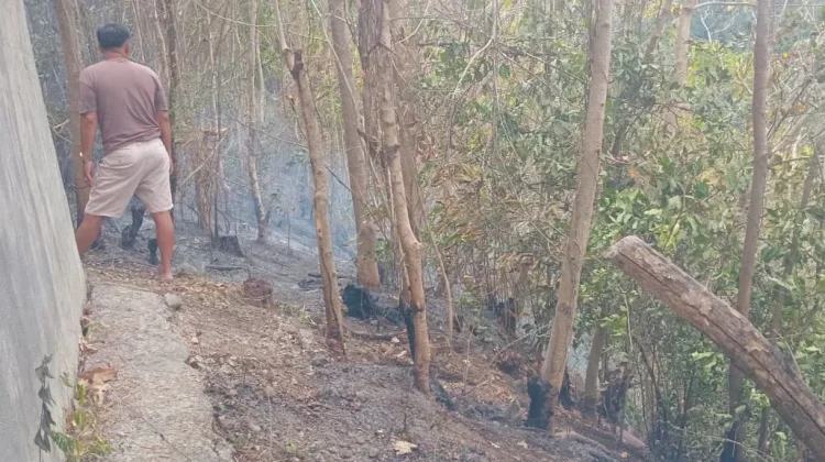 Kebakaran Lahan Melanda Desa Sekumpul, Sejumlah Titik Api Berhasil Dipadamkan