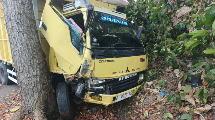 Truk Colt Diesel Tabrak Pohon hingga Terperosok ke Got di Melaya