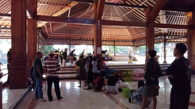 Vaksinasi dan Sterilisasi Massal, Disambut Antusiasme Masyarakat Jembrana