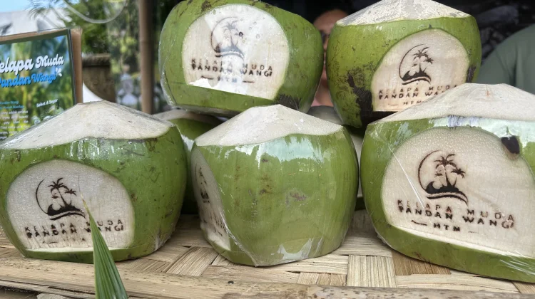 Kelapa Pandan Wangi: Khasiat Tropis dengan Aroma dan Kesegaran Alami