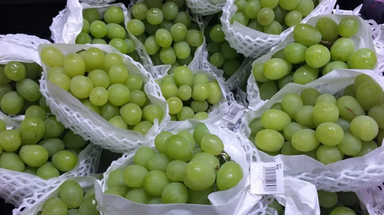 Anggur Muscat tanpa Biji jadi Buah Primadona