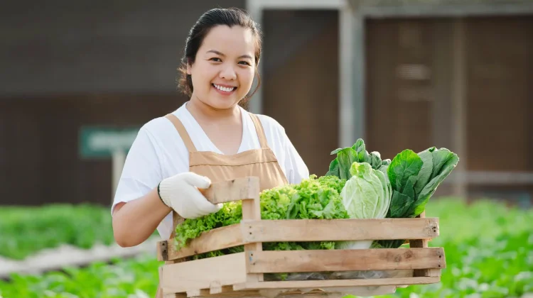 Asupan Gizi Anak Dimulai dari Piring Makan