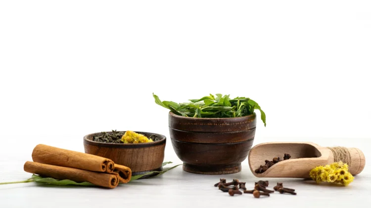 Dialog Herbal di RRI Jadi Ruang Konsultasi Kesehatan Masyarakat