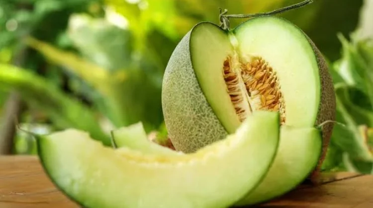 Mengenal Manfaat Buah Melon untuk Kesegaran dan Kecukupan Cairan Tubuh