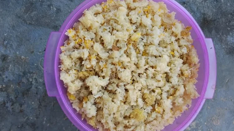 Mengupas Manfaat dan Bahaya Bakteri pada Nasi Aking