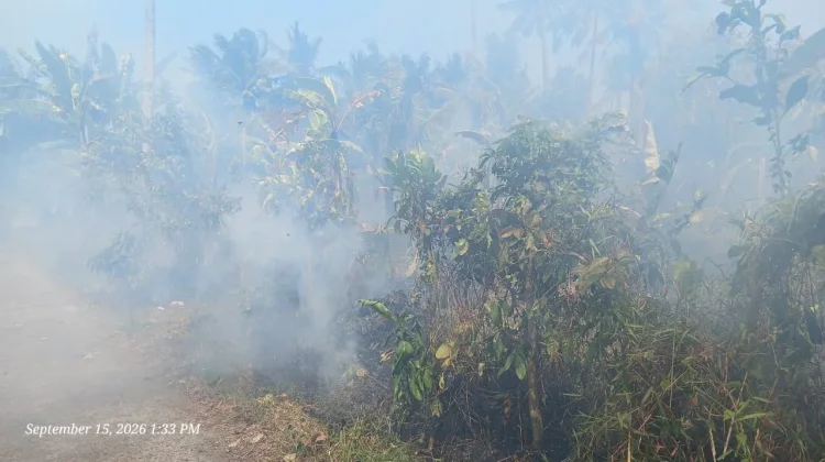 Kebakaran Lahan Kebun Terjadi di Yehkuning