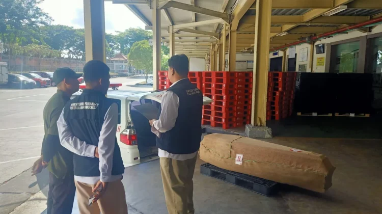 Jenazah PMI Jembrana dari Seychelles Tiba di Rumah Duka