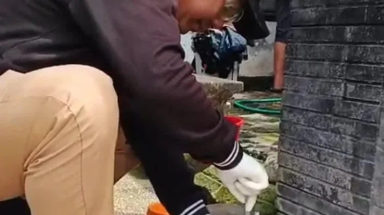 Diduga Rabies, Anak Anjing Gigit Tiga Anggota Keluarga di Jembrana