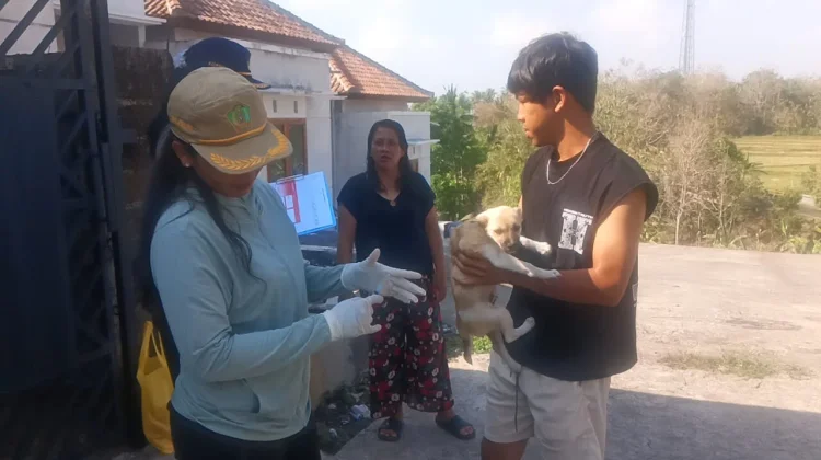 Tiga HPR Divaksin Darurat usai Kasus Gigitan Anak Anjing di Jembrana