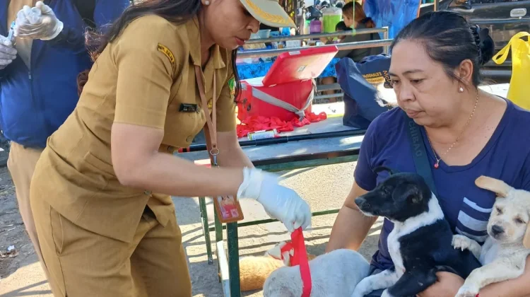 Tiga Kasus Rabies Baru Muncul di Jembrana, Didominasi Anak Anjing