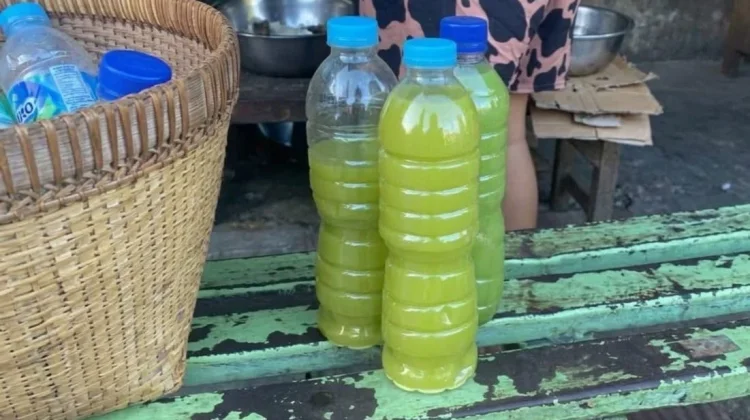 Loloh Paya Gamongan Ramuan Tradisional Alami Kaya Manfaat