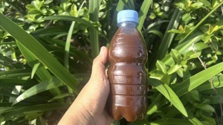 Dari Sampah Dapur Jadi Cairan Ajaib: Rahasia Membuat Eco Enzyme untuk Rumah dan Bumi