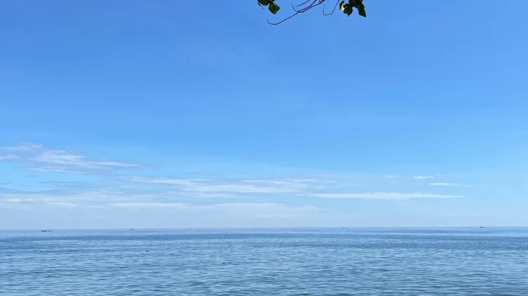 Konservasi Manusia Jadi Kunci Jaga Pesisir dan Laut Buleleng