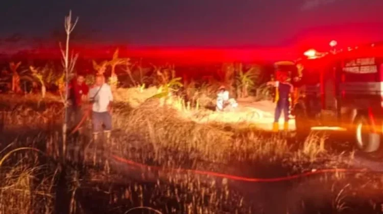 Lahan Kosong Dekat Kantor Bupati Jembrana Terbakar