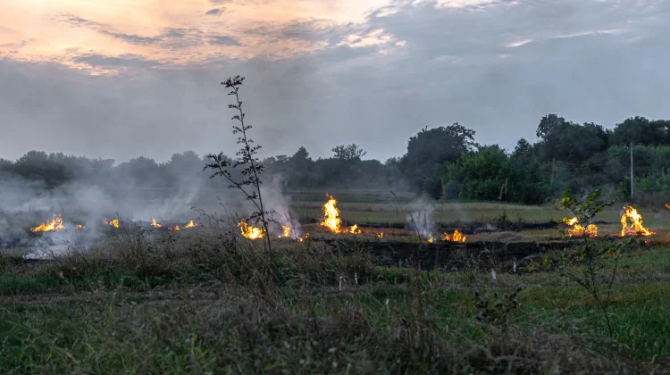 PMI Buleleng Dorong Kolaborasi Hadapi Kebakaran