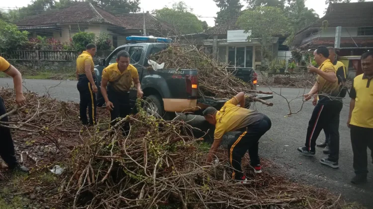Polisi Bersihkan Sisa Penebangan di Pekutatan