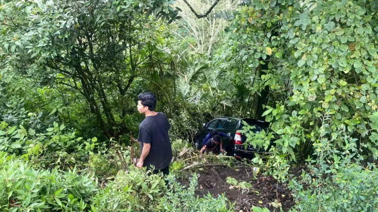 Mobil BNNP Bali Masuk Jurang di Wanagiri Sukasada