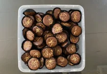 Brownis Kering, Kudapan yang Cocok untuk Cemilan Berbuka dan Lebaran