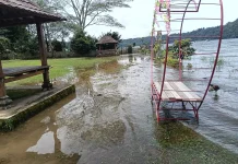 Danau Buyan Meluap, Sinyal Pentingnya Konservasi Kawasan Resapan Air