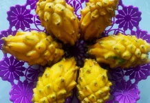 Mengupas Manfaat dan Kandungan Sehat Buah Naga Kuning