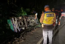Pick Up Sayur Masuk Selokan di Hutan Cekik