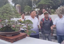 Kalpataru Bonsai 2026 Dongkrak Ekonomi dan Promosikan Buleleng