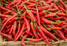 Rahasia Menyimpan Cabe agar Tetap Segar dan Tidak Cepat Busuk