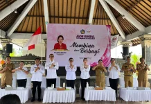 Sinergi Provinsi dan Kabupaten, Tingkatkan Kapasitas Kader Posyandu