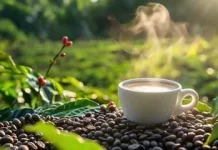Mengenal Peringatan Hari Kopi Nasional di Indonesia
