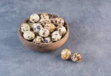 Telur Puyuh untuk MPASI? Cek manfaatnya!