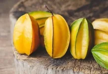 Kandungan Gizi Buah Belimbing yang Baik Bagi Tubuh